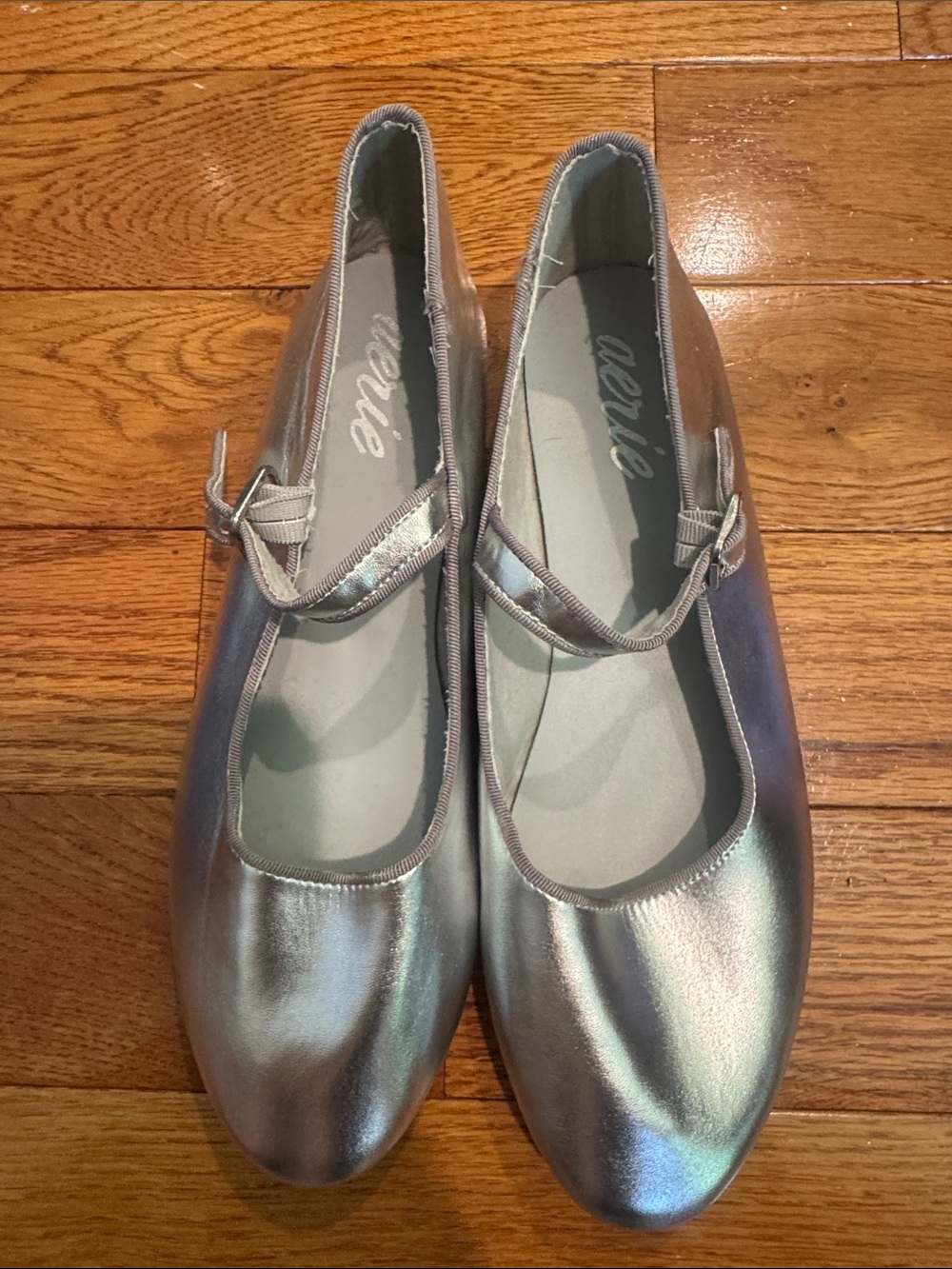 NEW Aerie Iridescent Silver Mary Jane Flats